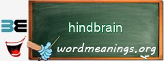 WordMeaning blackboard for hindbrain